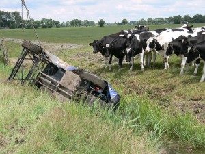 (Foto: Menne Tillema) Bewijs dat natuur geen hinder ondervindt